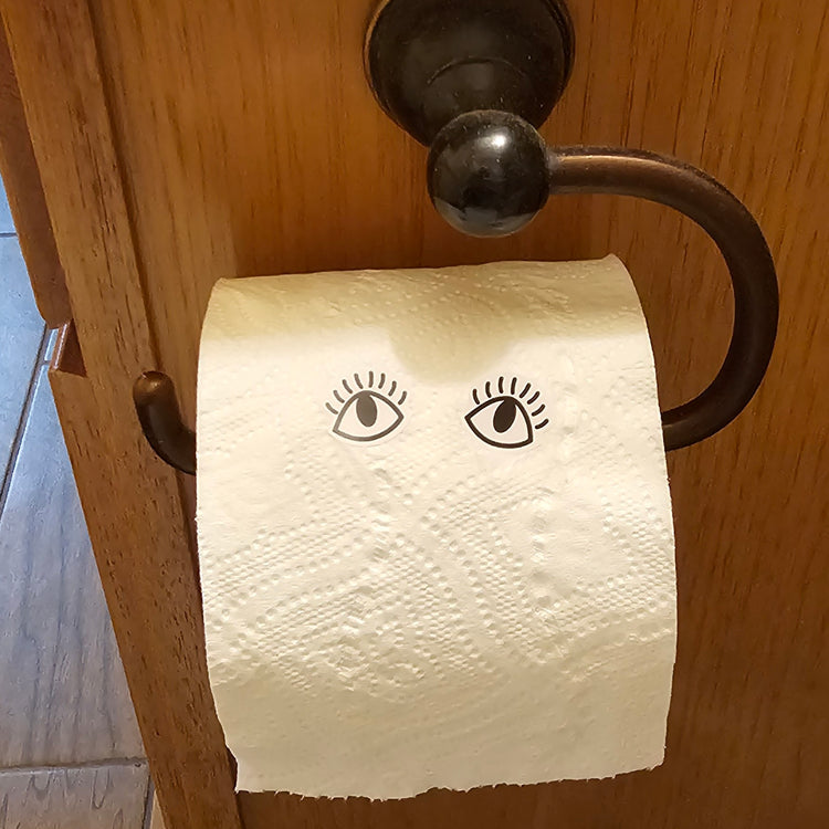 Eyes on you! Elf Prank & Activity