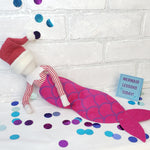 Load image into Gallery viewer, Mermaid Training - elf set
