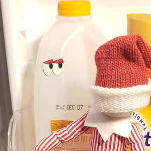 Eyes on you!  Elf Prank & Activity