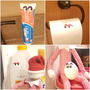 Eyes on you!  Elf Prank & Activity