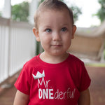 Load image into Gallery viewer, Mr ONEderful with crown
